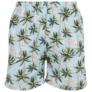 Mens Swim Trunks Swimming Shorts Board Bathing Suit, Small Medium Large X-Large